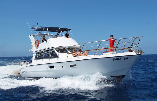 An Bord der Neptuno - Halbtagestour - Foto 1