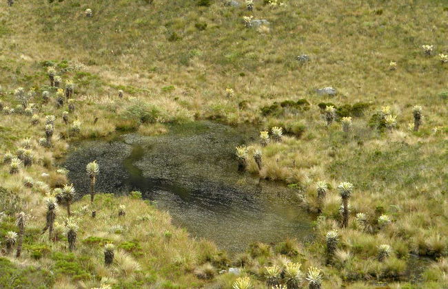 Santuario de Iguaque Hiking Tour - Foto 2