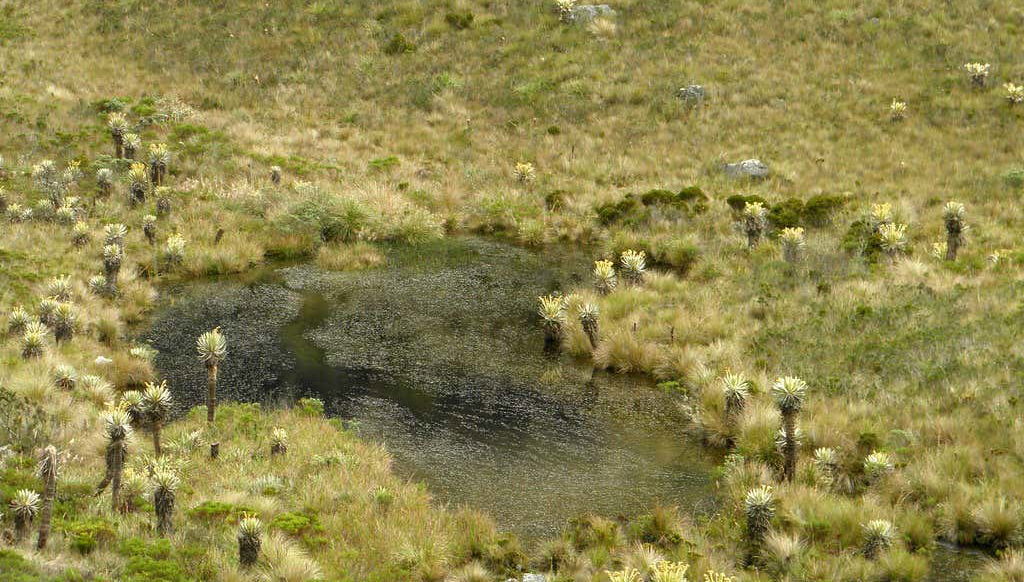 Santuario de Iguaque Hiking Tour - Foto 2