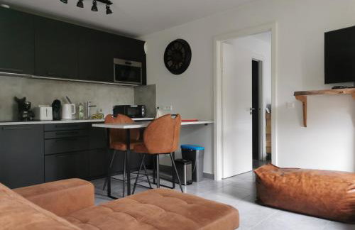 Appartement chaleureux à Haguenau - Foto 1