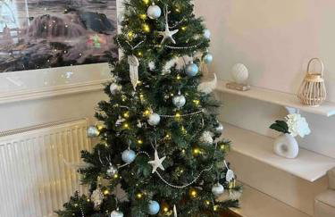 The Surf House (Widemouth Bay) - Foto 16