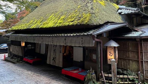 Tour por el bosque de bambú y los templos de Arashiyama - Foto 5