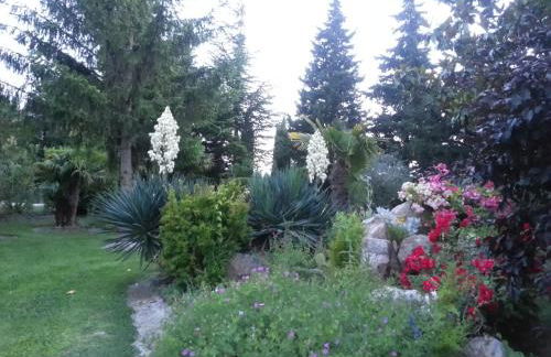 Reflet De PROVENCE dans cadre de verdure avec piscine chauffée - Photo 52
