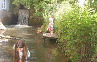 Vogtmühle - Foto 37