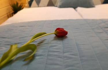 Ekosfera Piława Apartamenty z podgrzewanym basenem - Foto 39