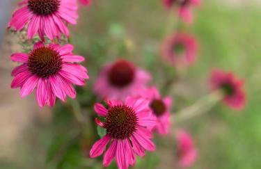 Białe Żagle Mazury - Foto 35