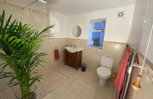 Cygnet Studio - Foto 8