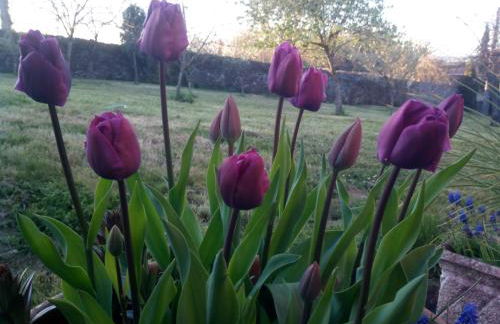 Casa Vixide - Foto 10