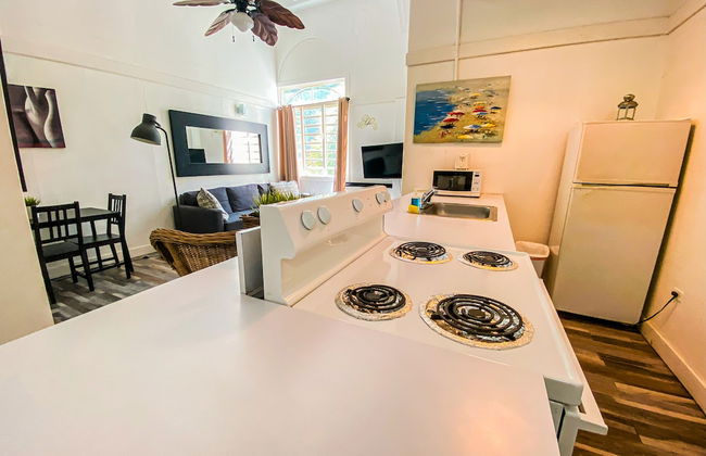 Gladiolas 1208 - Foto 12