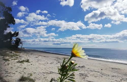 Panoramico, in villa, grande, con ampie terrazze - Foto 40