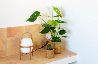 Can Jove Cadaqués - Foto 31