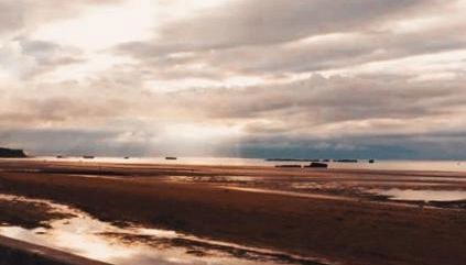 La Salamandre - Photo 2