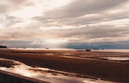 La Salamandre - Photo 2