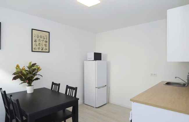 Luxus 70m2 sannierte City Wohnung - Foto 4