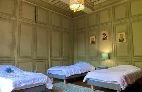 Château de Moulins - Foto 8