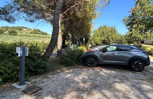 Agriturismo Tenuta Conti Faina - Foto 43