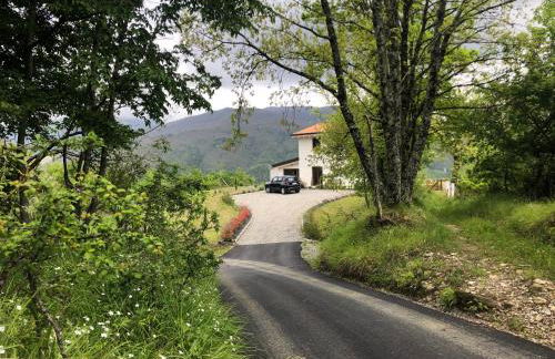 360 views, private infinity pool, Pisa, Lucca, Florence, large garden - Foto 51