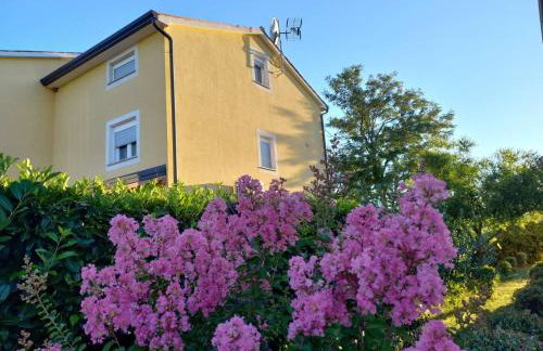 Apartment Lavanda - Foto 1