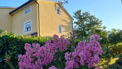 Apartment Lavanda - Photo 1, Garden