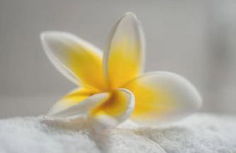 Iasmos Luxury Apartment - Foto 17