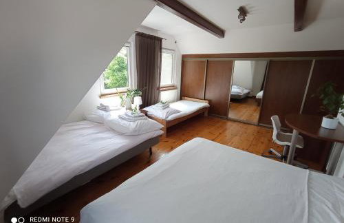 Agroturystyka Pasynki 44 - Foto 44