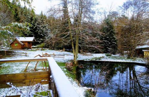 Charmant chalet aux portes d'Epinal - Foto 31