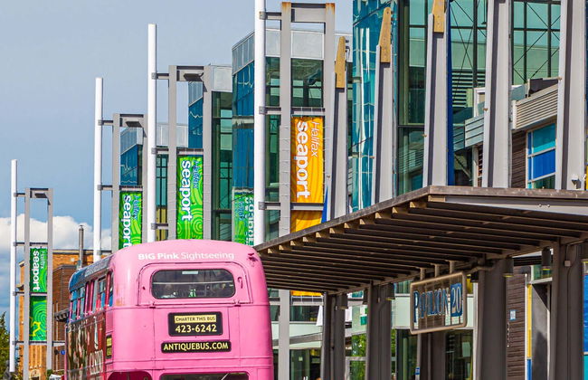 Bus touristique d'Halifax - Photo 1