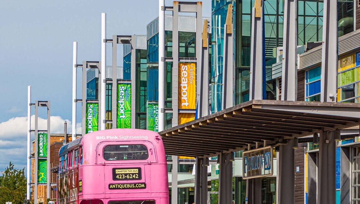 Bus touristique d'Halifax
