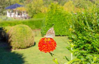 Hotel Rural Casa de Samaioes - Foto 78