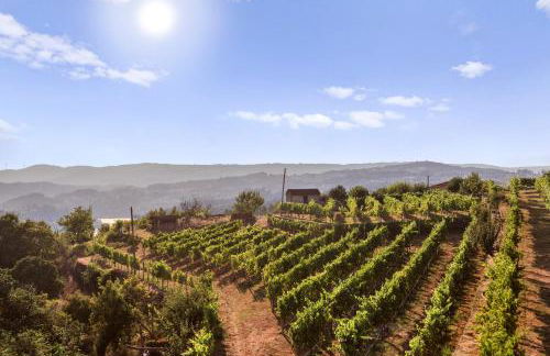 Casa do Vitó - Foto 25