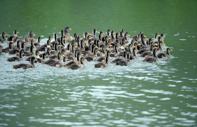 Thai House Pu Luong - Foto 44