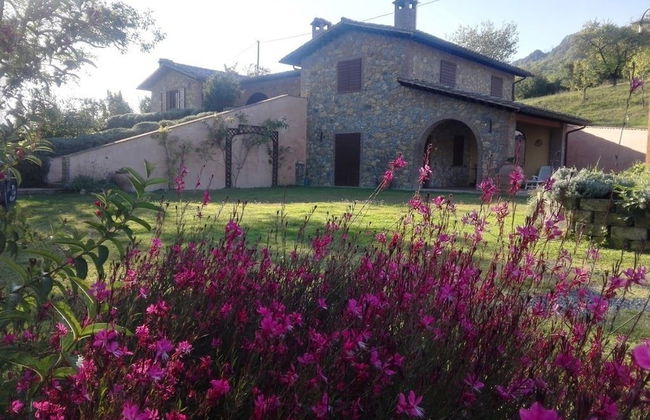 La Collina dei Ciliegi - Foto 20