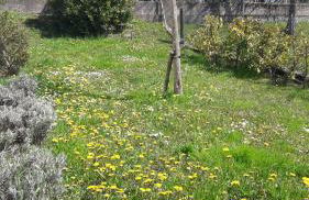 La gazza allegra - Foto 12