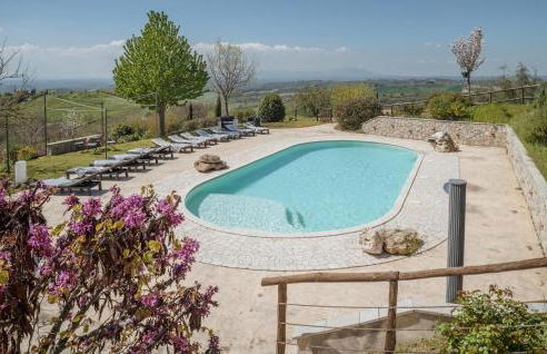 Blue Cherry - Foto 15