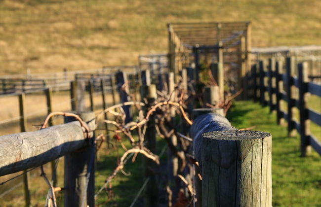 Down to Earth Farm Retreat - Foto 35