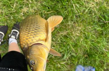 Bucks County Home Farm Philadelphia Dog Friendly - Foto 45