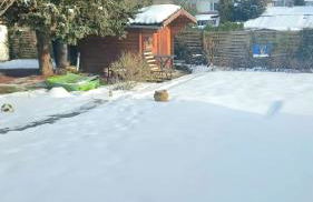 Bungalow mit Garten - Foto 10