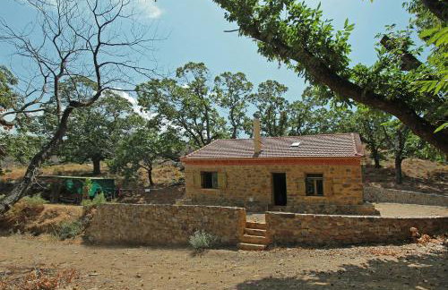 Hani Kastania - Chania retreat for families and groups for holidays and workshops - Foto 31