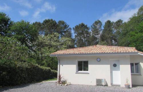 Maison Solyselva Piscine- Proche océan- Climatisée - Foto 6