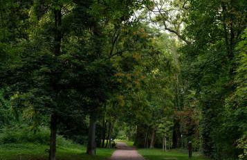 Maximi Apartments by Rosini - gegenüber Dom & nahe Schloss Merseburg, ideal für Geschäftsreisende, Familien & Longstay - Foto 44
