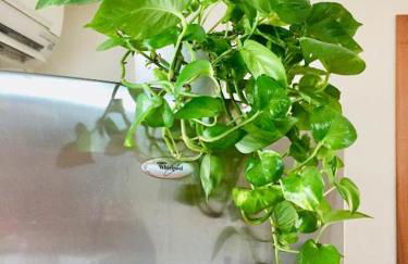 La Perla sul Mare - Foto 15