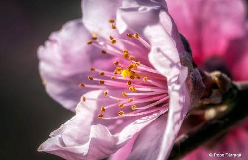 Sonne - Golf - 4Pers - Komfort - Apartments - Foto 61