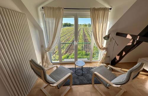 Ferienhaus im Weinberg Kallstadt - Foto 21