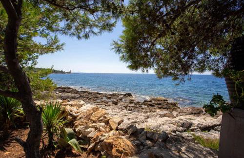 Obiteljska kuća za odmor Futura - Photo 34