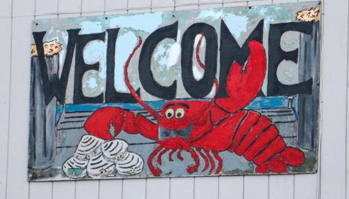 Secluded Bungalow Near Acadia and Bar Harbor -Private, Pet Friendly, Fire Pit - Foto 3