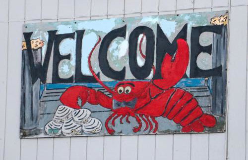 Secluded Bungalow Near Acadia and Bar Harbor -Private, Pet Friendly, Fire Pit - Foto 3