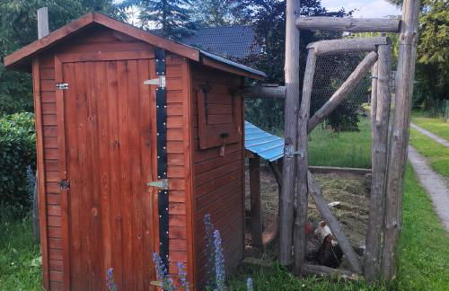 Flussperle - Foto 43