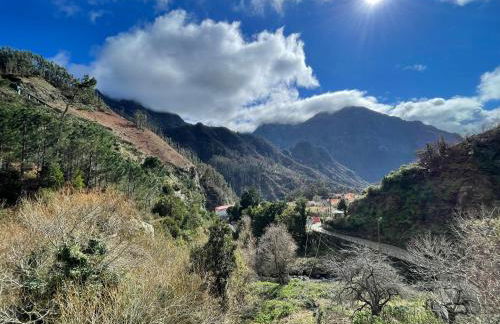 Forest View Countryside - Foto 31