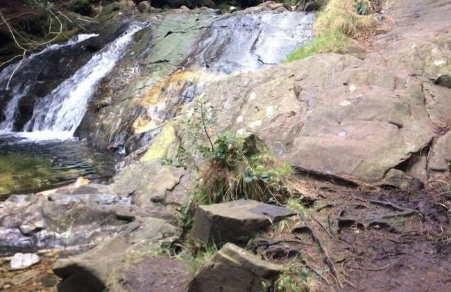 Priest Bridge Cottage - Foto 11