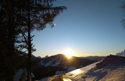 Natur Apartments Riesen - Photo 73